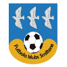 https://img.whysmold.com/img/football/team/259a1106a33b56d2bb3c458a62ffa2ea.png